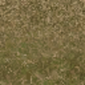 cs_lod_forestfloorblendded.png