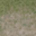 cs_lod_grass4_des_dirt2.png