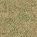 cs_lod_grassdeadbrn256.png