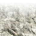 cs_mountaindetail_cs_rockdetail.png