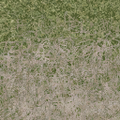 cs_town_grass4_des_dirt2.png