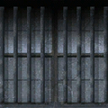 cunte_cop_sw_bars.png