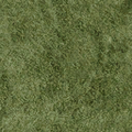 cuntwland_grassdeep256.png