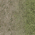 cuntwland_grassdirtblend.png