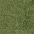 cuntwland_grassshort2long256.png