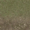 cuntwland_grasstype3dirt.png