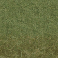 cuntwland_grasstype4_forestblend.png