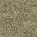 cuntwland_grasstype5.png