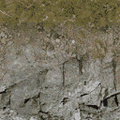 cuntwland_rocktq128_forestblend.png