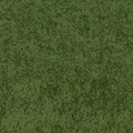 cuntwlandcent_grass10_grassdeep1.png