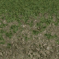 cuntwlandcent_grass10_stones256.png