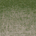 cuntwlandcent_grass10des_dirt2.png