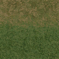 cuntwlandcent_grass10forest.png