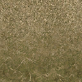 cuntwlandcent_sw_dirt01_forestblend.png