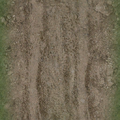 cuntwlandse_dirttracksgrass256.png