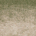 cuntwlandse_sw_sandgrass4.png