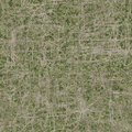 cuntwlandwest_des_dirtgrassmixbmp.png