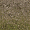 cuntwlandwest_desertstones256forestmix.png