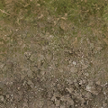 cuntwlandwest_forestfloor_sones256.png