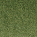 cuntwlandwest_grasstype10_4blend.png