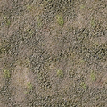 cuntwlandwest_ws_patchygravel.png