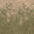 des_nw2_des_grass2dirt1.png