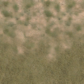 des_nw2_des_grass2scrub.png