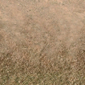 des_se2_des_dirt2dedgrass.png