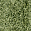 dockroad_sfse_dt_bmx_grass.png