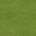 golf_sfs_golf_fairway1.png