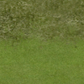 golf_sfs_golf_fairway2.png