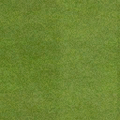 golf_sfs_golf_greengrass.png