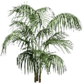 gta_potplants_planta256.png