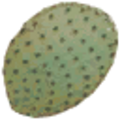 gta_procdesert_sm_cactus_leaf.png