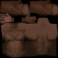 hands_torso8bit.png