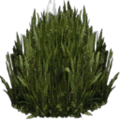 kbplanter_plants1.png