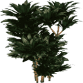 kbplantssmz_plantc256.png