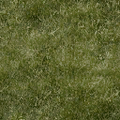 law_doontoon_grassgrn256.png