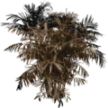 lawnbush_dead_fuzzy.png