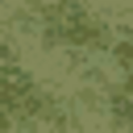 lod2_sfe_tempgrassLOD1.png