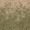 lod_countn2_des_grass2dirt1.png