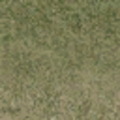 lod_countn2_grasstype5_4.png