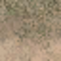 lod_countn2_grasstype5_desdirt.png