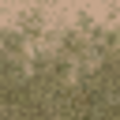 lod_countryn_des_grass2dirt1LOD.png