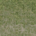 lod_mount_sfs_des_dirtgrassmix_grass4.png