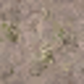 lod_sfs4_Bow_church_dirt_lod.png