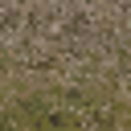 lodcunty_desertstones256forestmix.png