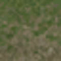 lodcunty_grass10_stones256.png