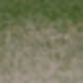 lodcunty_grass10des_dirt2.png