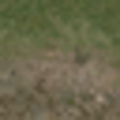 lodcunty_grass10dirt.png